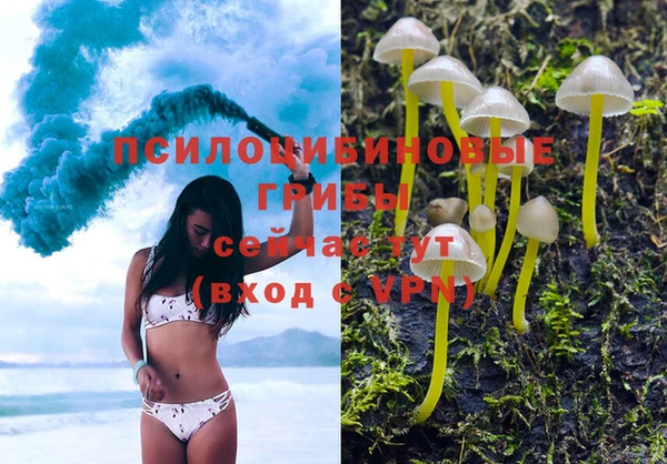 тгк Алексин
