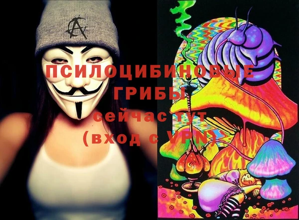 бутират Алзамай