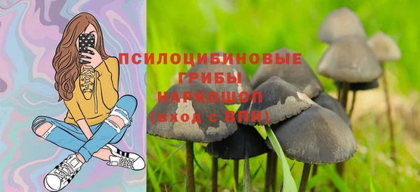 тгк Алексин