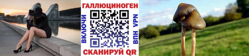 Галлюциногенные грибы прущие грибы Киров